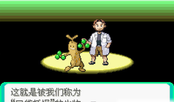 
口袋妖怪心魂之羽