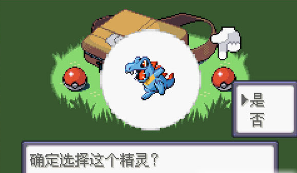 
口袋妖怪心魂之羽