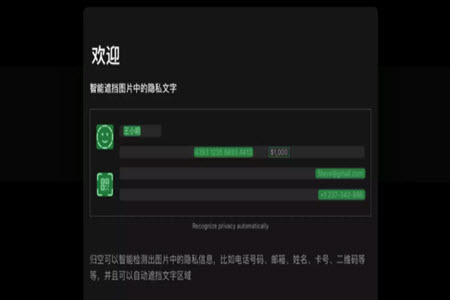1608210512896377.jpg 5.jpg