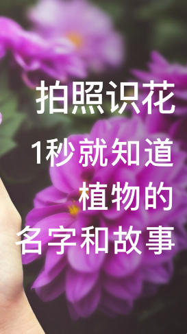 2021-03-22_10-25-23.png